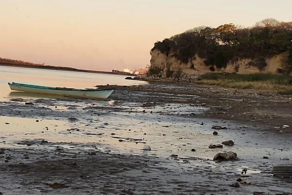 parana