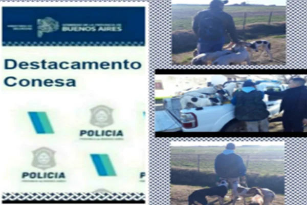 caza ilegal