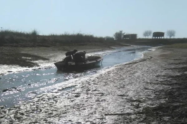 sfg