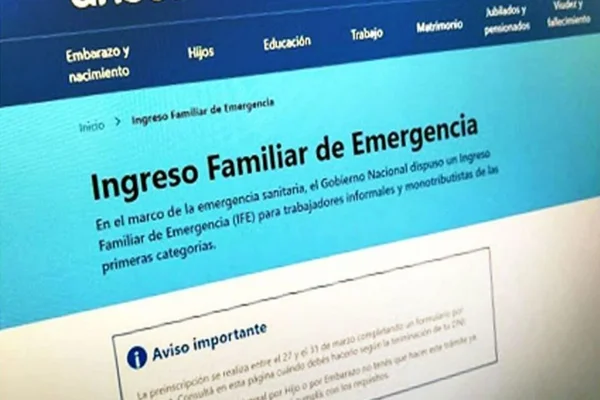 Nuevo IFE: cómo actualizar los datos en Mi Anses para cobrarlo