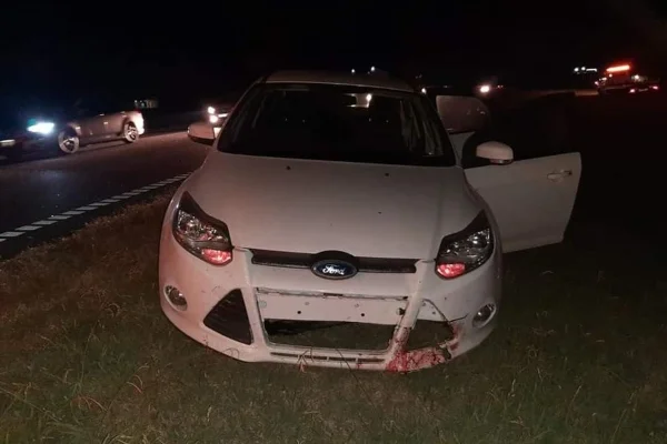 Tres automóviles embistieron un equino en la autopista