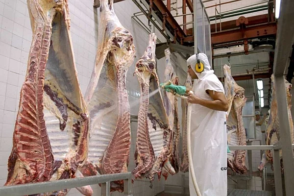 El Gobierno prohibió por dos años la exportación de siete cortes de carne