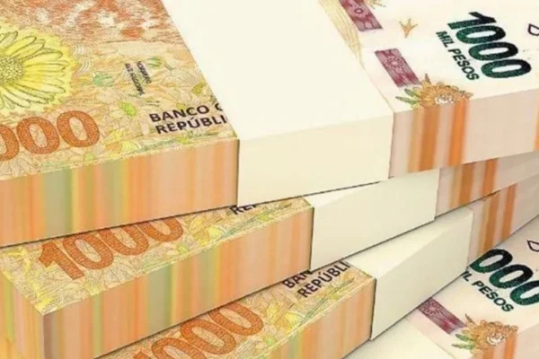 ¿Cómo cobrar los $32.000 que da Anses para mujeres de 18 a 65 años?