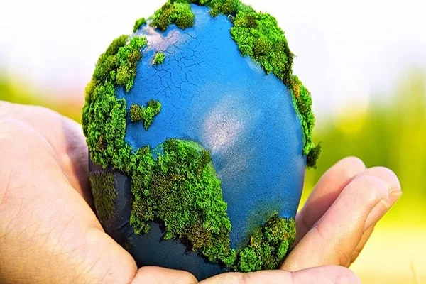 Hoy, 26 de enero, se celebra el Día Mundial de la Educación Ambiental