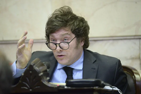 Javier Milei: "Cada vez es más claro que se viene una piña económica"