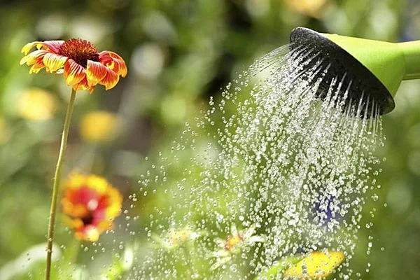 Recomendaciones para el uso responsable del agua en días de calor