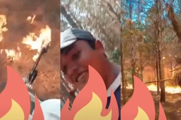 Los incendios que afectan a una parte de Corrientes ya fueron catalogados como "catástrofe".