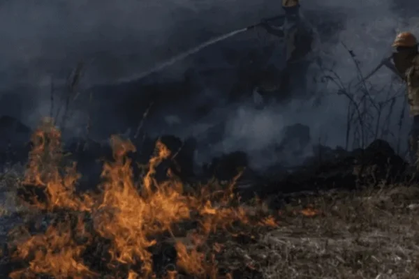 La región norte de Corrientes está por estos días viviendo una catástrofe natural debido a diversos focos de incendios que afectan a la zona.