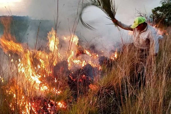 Las llamas en los Esteros del Iberá ponen en riesgo el principal proyecto de conservación del país