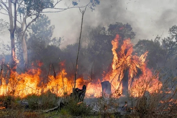 El fuego se propaga libremente y puede crecer en Corrientes.