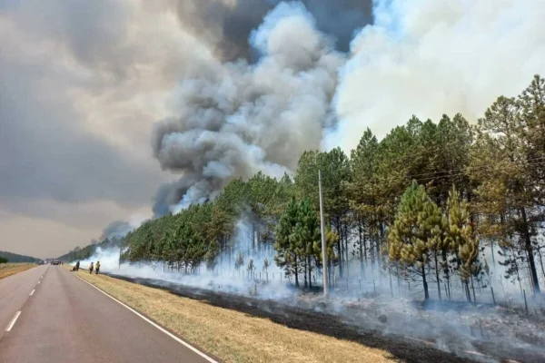 Un alivio trajo la lluvia a la acción de las brigadas que intentan apagar los incendios en Corrientes.