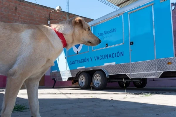 Vacunación y castración en barrio Itec