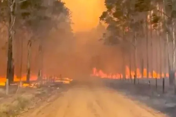 Tras las lluvias en Corrientes, el 70% de los incendios está bajo control