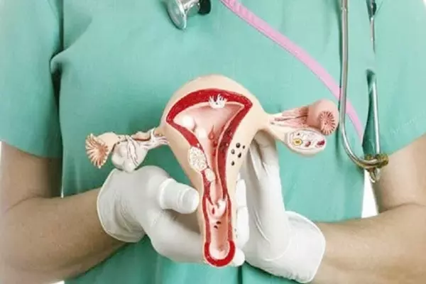 En 2020, los 194 países que integran la OMS se comprometieron con Estrategia Mundial para Acelerar la Eliminación del Cáncer del Cuello Uterino.