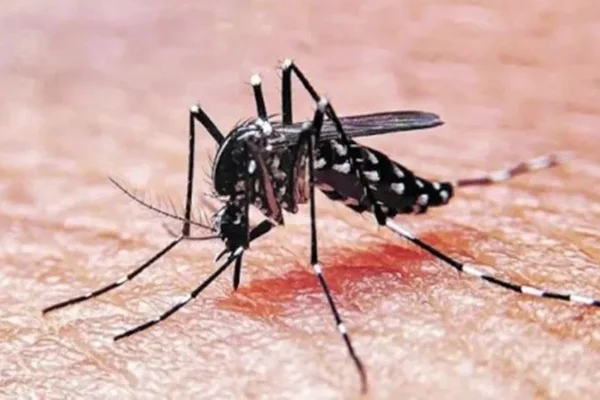 A raíz de las restricciones por la pandemia, hubo 750 mil casos menos de dengue
