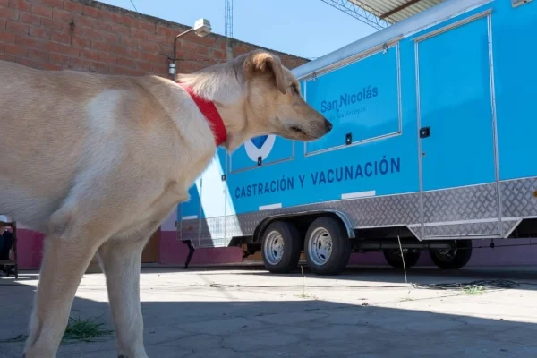¡Traé a tu mascota!