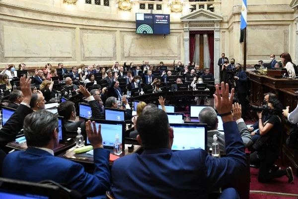 El Senado da inicio al debate sobre la reforma del Consejo de la Magistratura