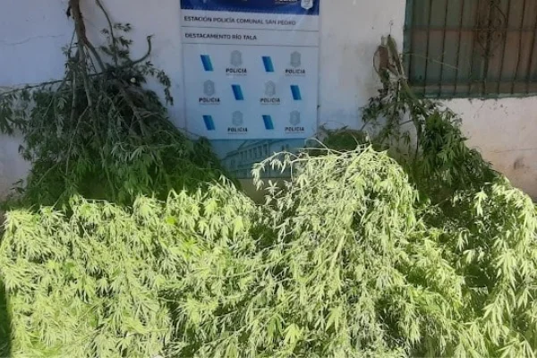 Sucedió en Rio Tala