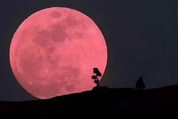 Luna Rosa en 2022