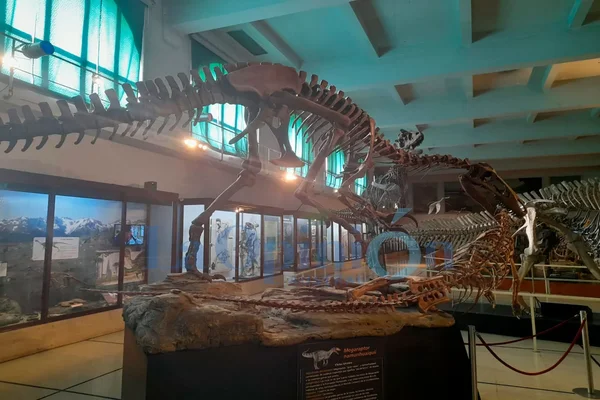 Santa Cruz: hallaron restos fósiles de un dinosaurio megaraptor