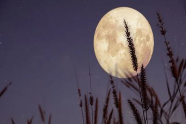 Hoy sucederá el primer eclipse del año: La Luna tapará un 39% de la superficie del Sol