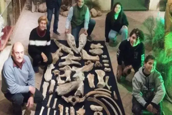 Descubren un centenar de fósiles de animales prehistóricos en San Pedro