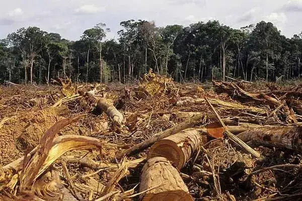 Argentina está en default ambiental: ¿qué significa?
