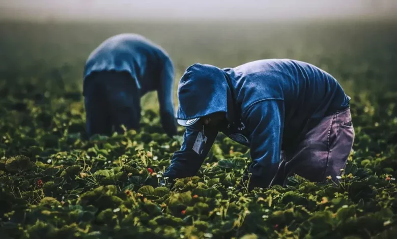 9 de septiembre: Día Mundial de la Agricultura
