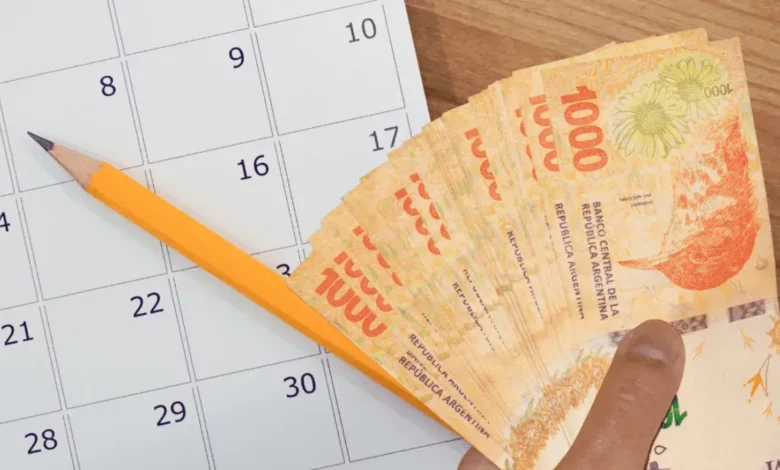ANSES entrega $18.000 desde el lunes: consulta si cumplis con los requisitos