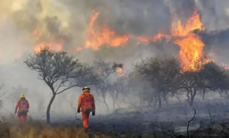 Incendios en Córdoba: persisten activos cinco focos ígneos