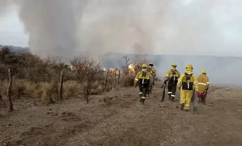 Cinco provincias registraron incendios forestales activos