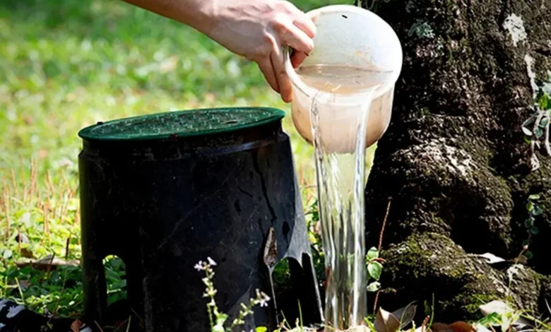 Dengue: Consejos para evitar la presencia del mosquito transmisor