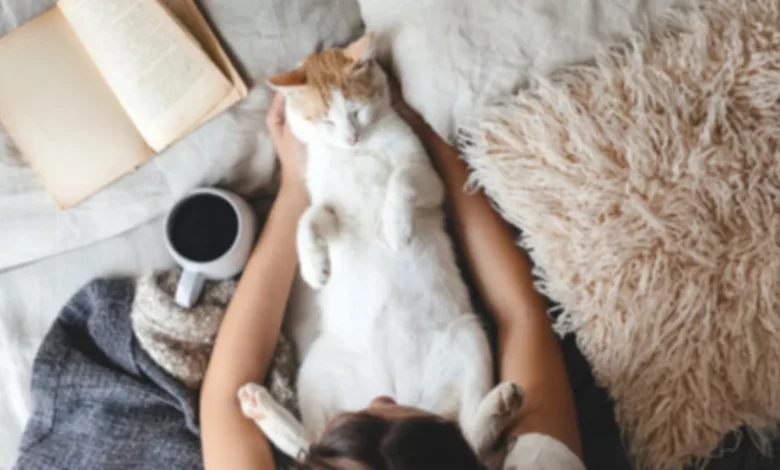 Los niños se ven beneficiados al criarse con un gato ya que les permite generar confianza y sociabilizar con otros (Getty Images)