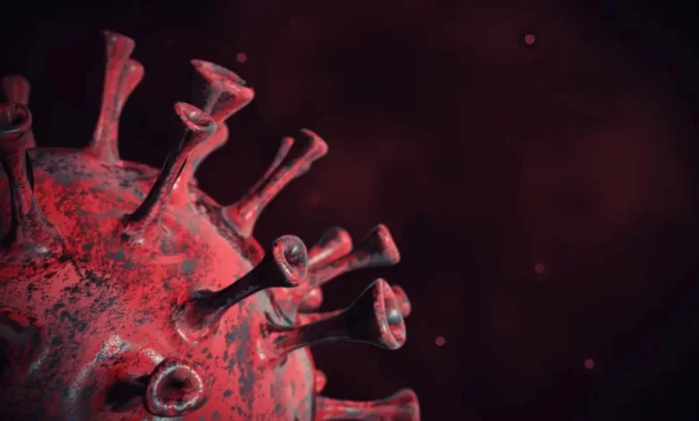 Kraken, la temida subvariante de Covid que evade las vacunas y causa estragos en todo el mundo