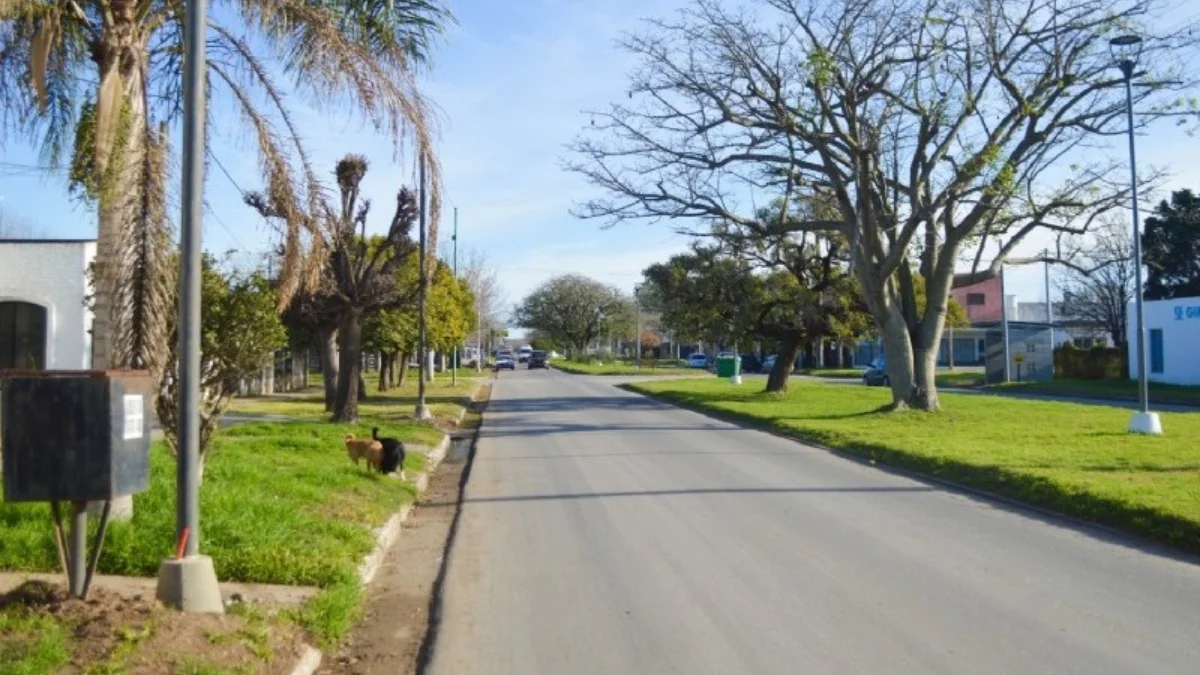 Modernización y eficiencia lumínica: Iluminación LED en Avenida Savio